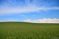 /album/%e5%a4%8f/%e5%8e%9a%e7%94%b0%e6%9c%9b%e6%9d%a5%e3%80%80%e9%ba%a6%e7%95%91%e3%81%ae%e4%b8%98%e3%80%808-jpg/